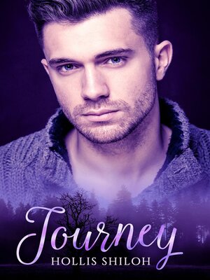cover image of Journey